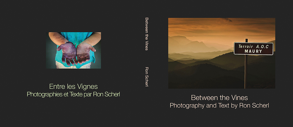 Between the Vines4 Cover_Small